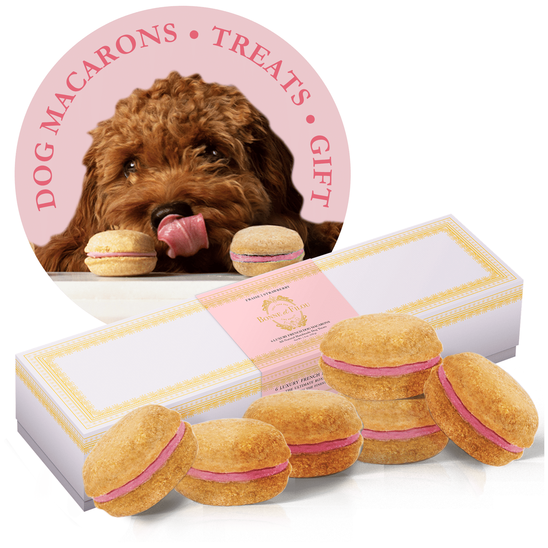 Bonne et Filou Dog Macarons Count of 6 (Dog Treats | Dog Gifts)