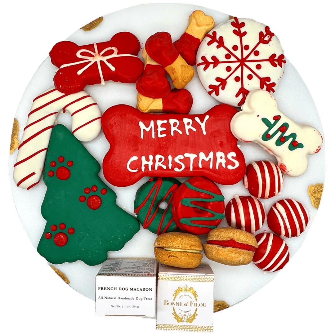 Bonne et Filou Christmas Themed Dog Treats Gift Box
