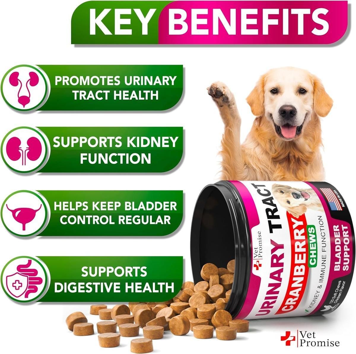 Vet Promise Dog Urinary Treatment Cranberry Supplement for Dogs Bladder Control for Dogs Urinary Tract Infection Treatment Multivitamin Chews