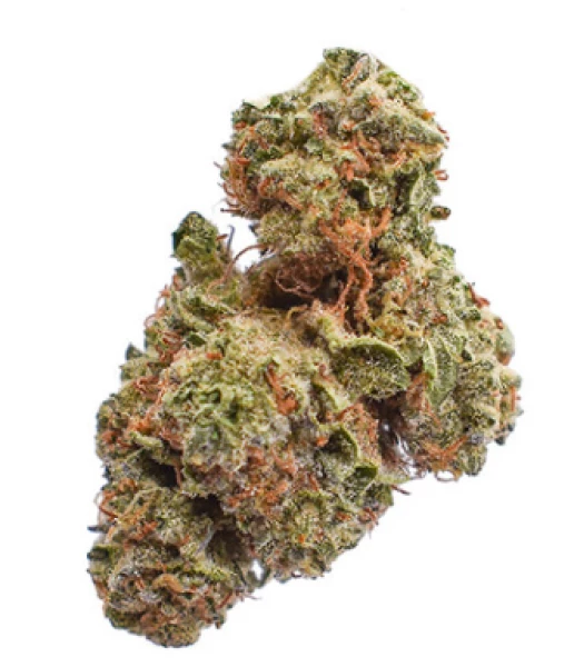 Koi THCA Flower  Silver Tier - Jet Fuel - Sativa 3.5g