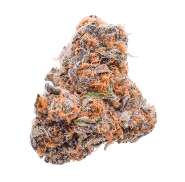 Koi THCA Flower Platinum Tier - Pinnacle - Sativa 3.5g