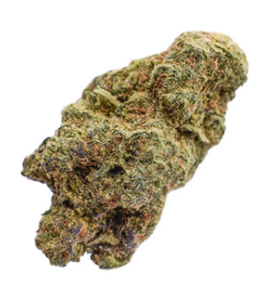 Koi THCA Flower Gold Tier - Malawi Gold - Sativa 3.5g