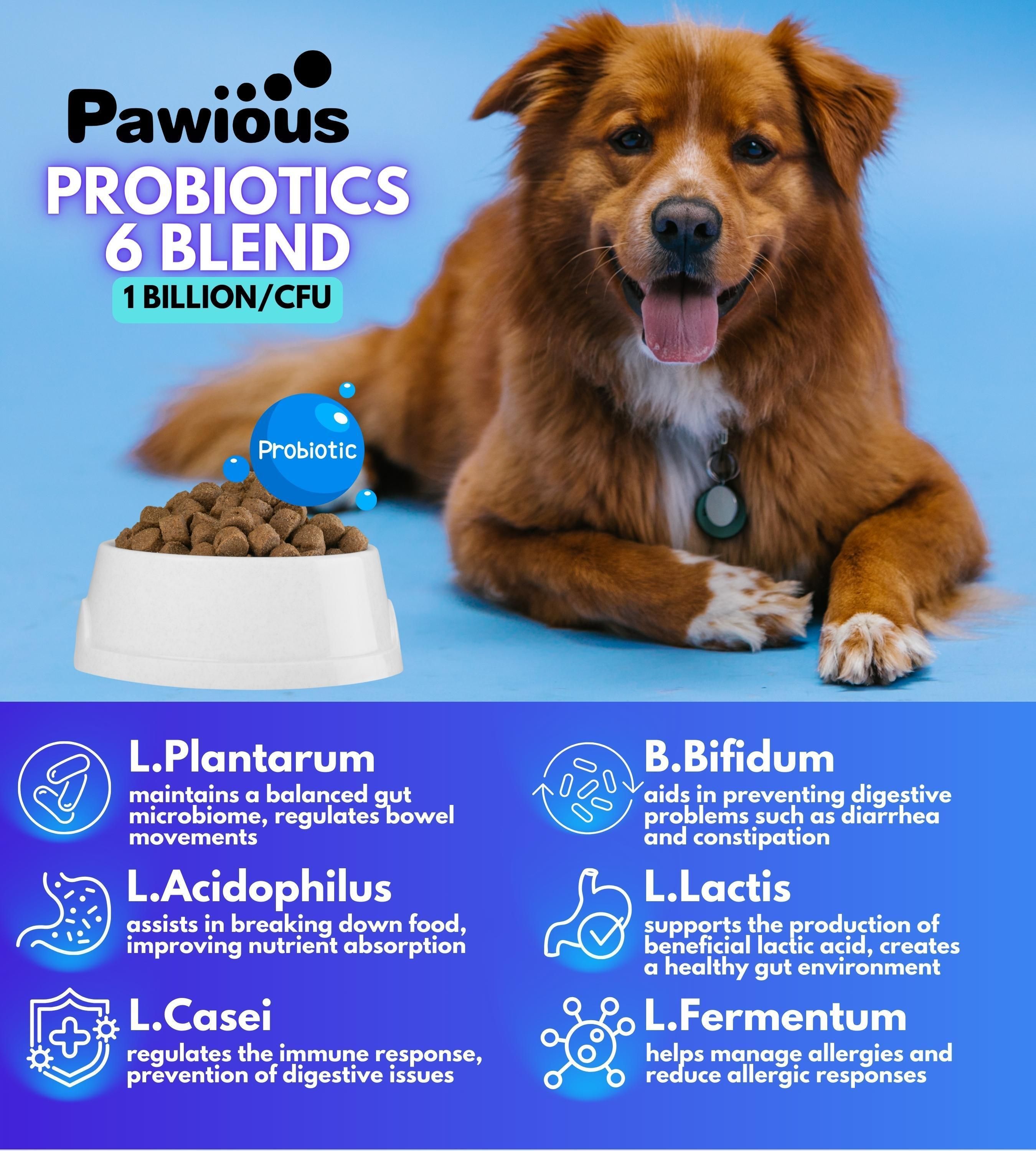 Pawious Probiotics for Dogs Digestive Enzymes Gut Flora Digestive Health Immune System Diarrhea Support Itchy Skin Allergies Pumpkin Flaxseed Meal Papaya Powder Probiotic Chews for Dogs