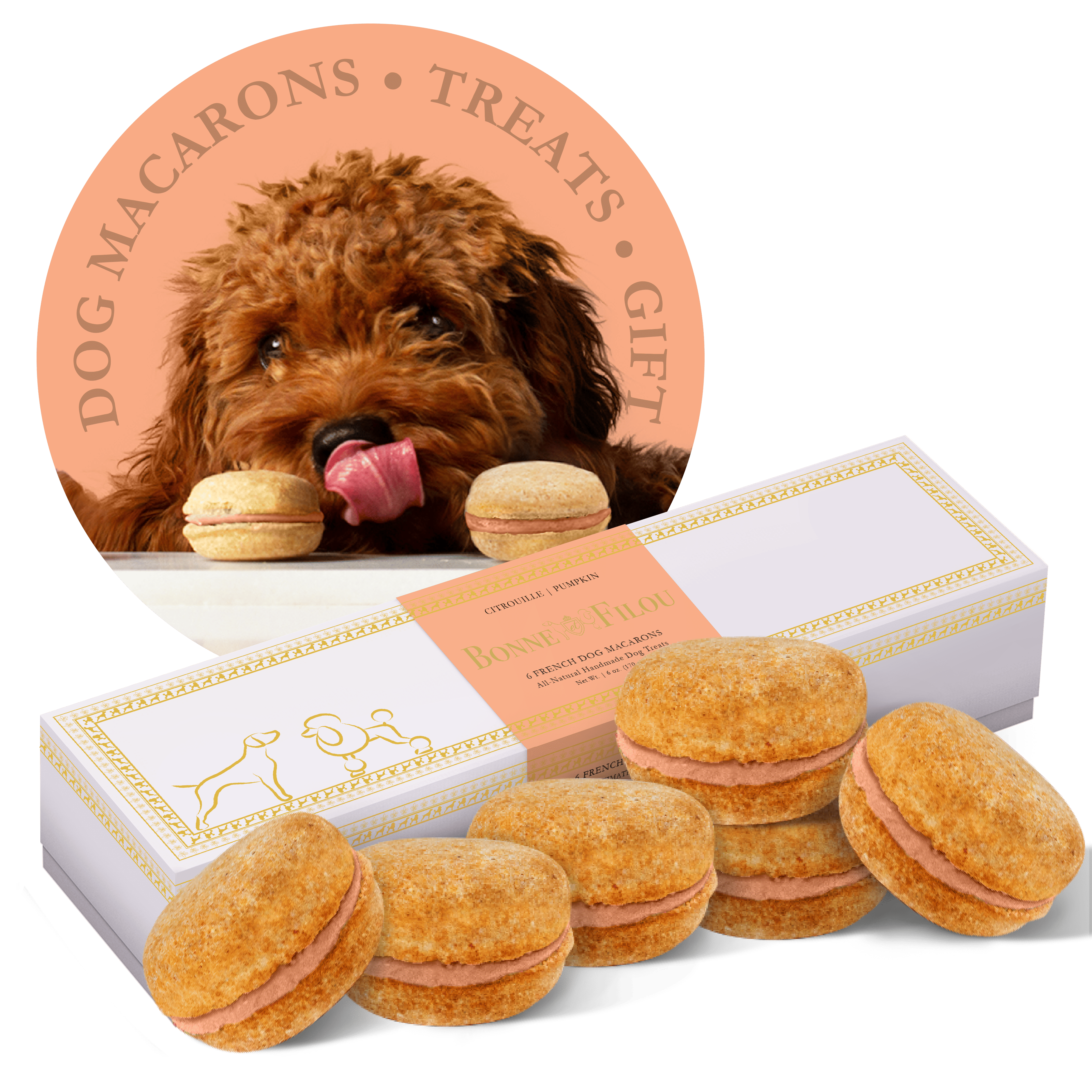 Bonne et Filou Dog Macarons Count of 6 (Dog Treats | Dog Gifts)