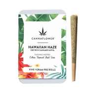Cannaflower Hawaiian Haze Pre-Rolls - 1g CBD Joints - Hybrid