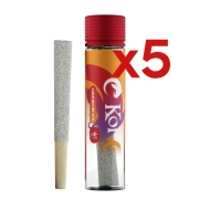 Koi Hemp THC-A Diamond-Infused INDICA Lemon Cherry Gelato Pre Rolls -  5 PACK, 1 gram