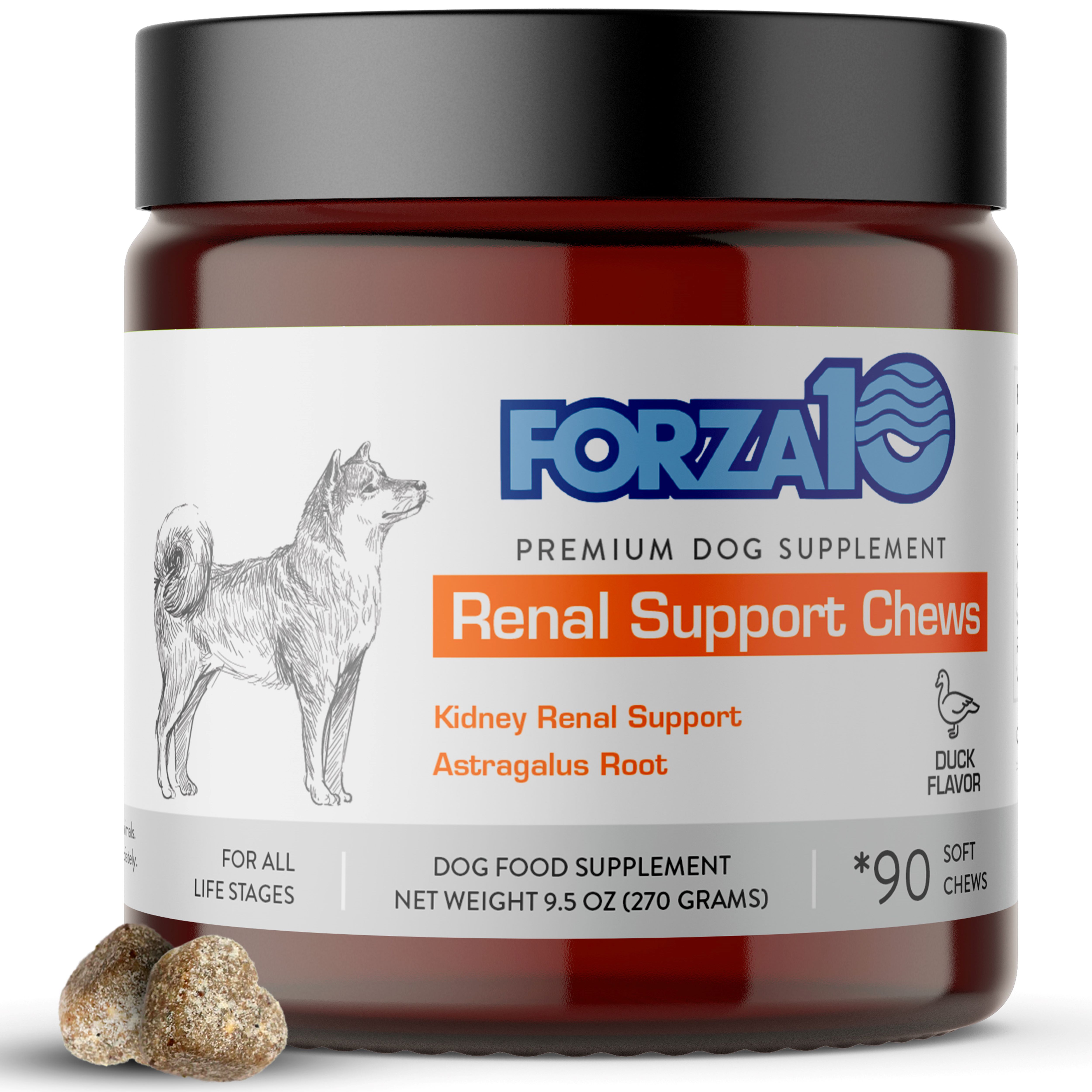 Forza10 Renal Support Chews 9.5 oz jar