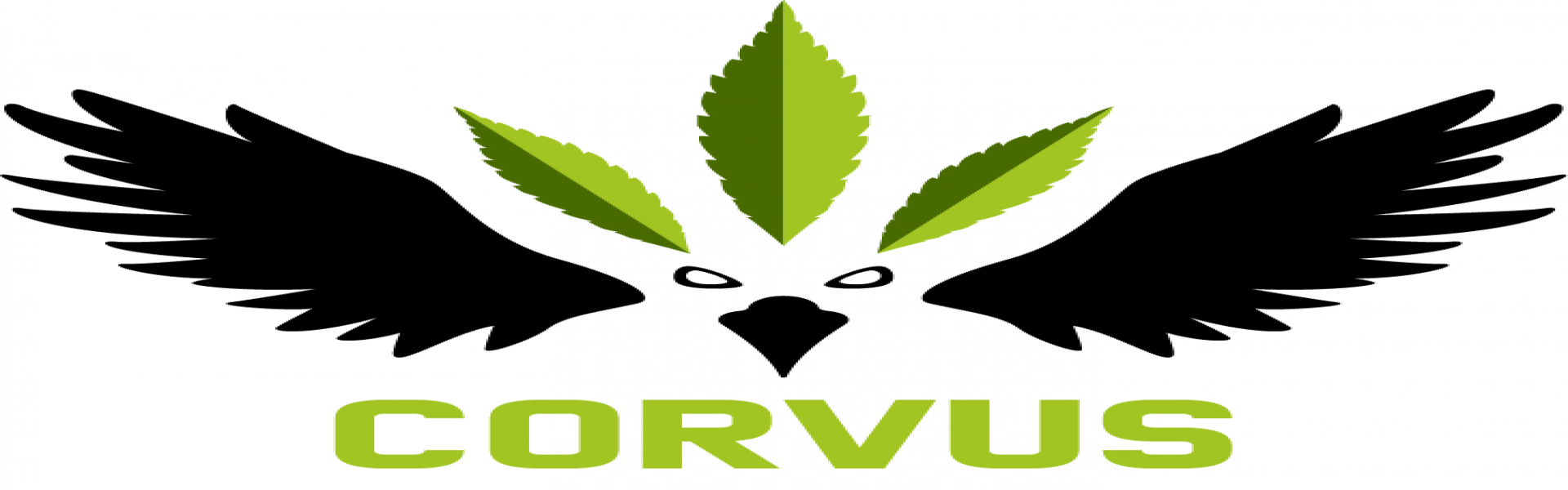 494805e543c8ae6248.png